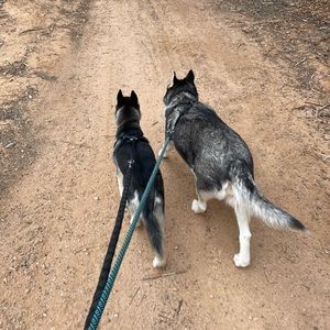 Meet your Posher, Jayne